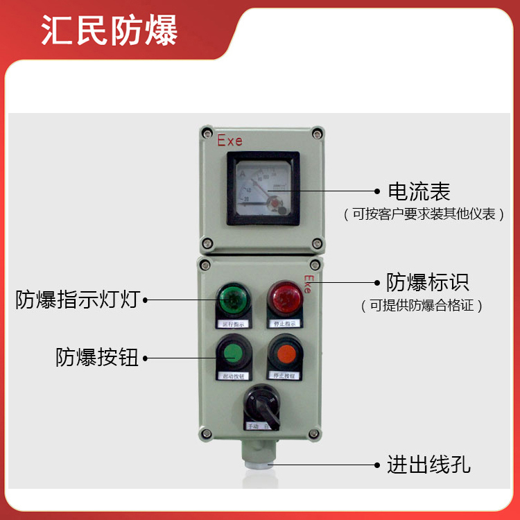 安徽免费麻豆视频网站防爆电气有限公司带仪表防爆操作柱