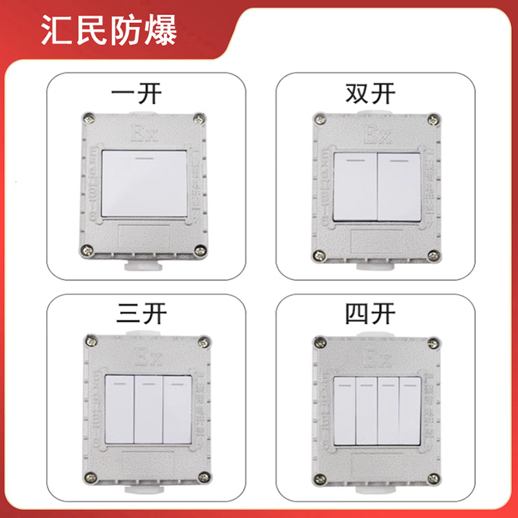 安徽免费麻豆视频网站防爆电气有限公司防爆墙壁开关